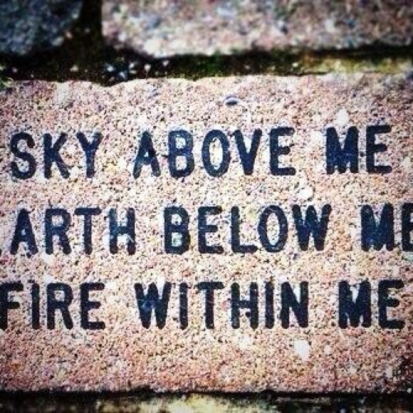 Meet your Posher, Tatum - Picture 5 of 9